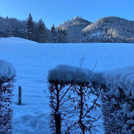 Appartement 2 Pieces Pieds Des Pistes Terrasse Face A La Montagne Bernex Buitenkant foto