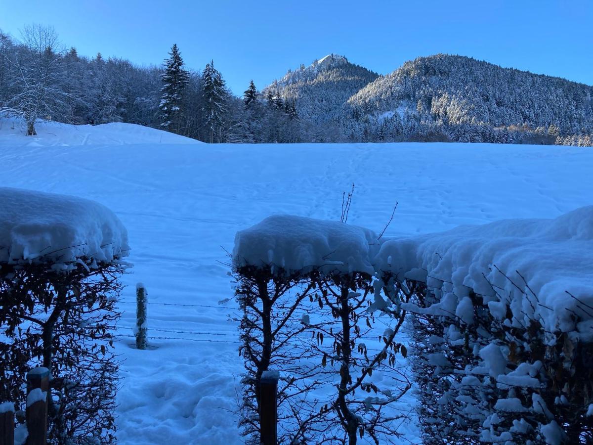 Appartement 2 Pieces Pieds Des Pistes Terrasse Face A La Montagne Bernex Buitenkant foto
